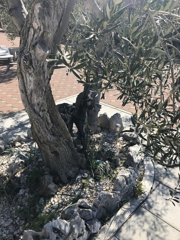 Casa Dolcevita Šibenik Exteriör bild